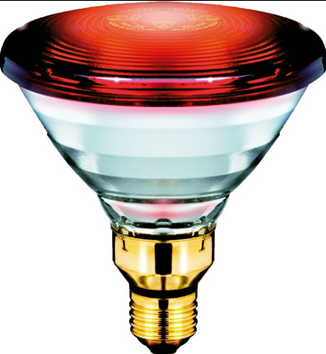 Philips Infrared Lamp BULB-150W